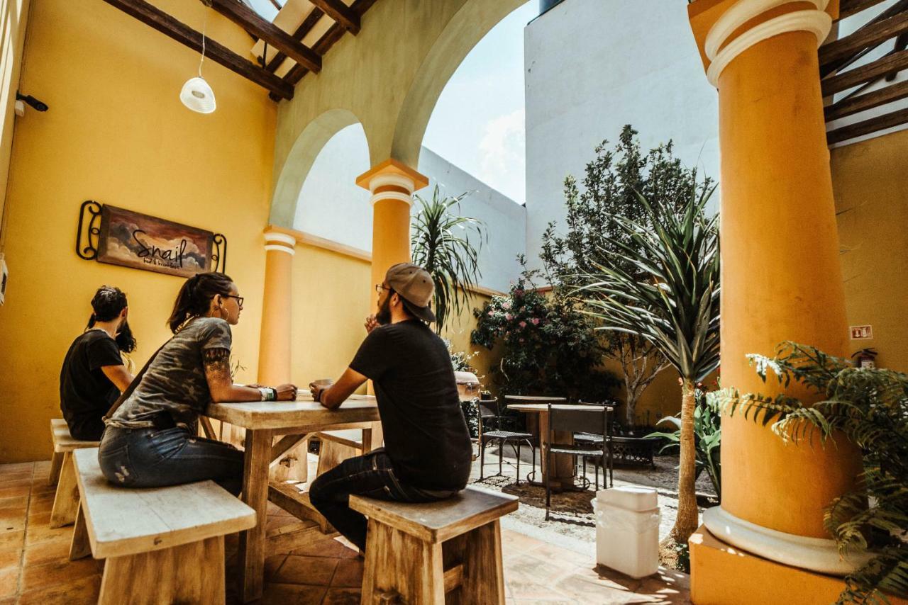 Snail Bed & Breakfast (Adults Only) San Cristóbal de Las Casas Exterior foto